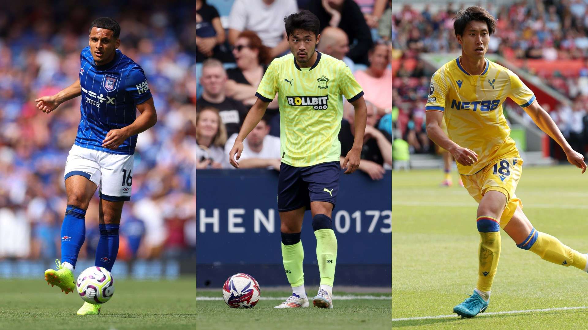 这种热情不 这种热情不